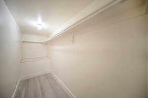 Spacious closet featuring light wood finished floors