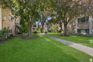 View of home's community with a lawn and a residential view