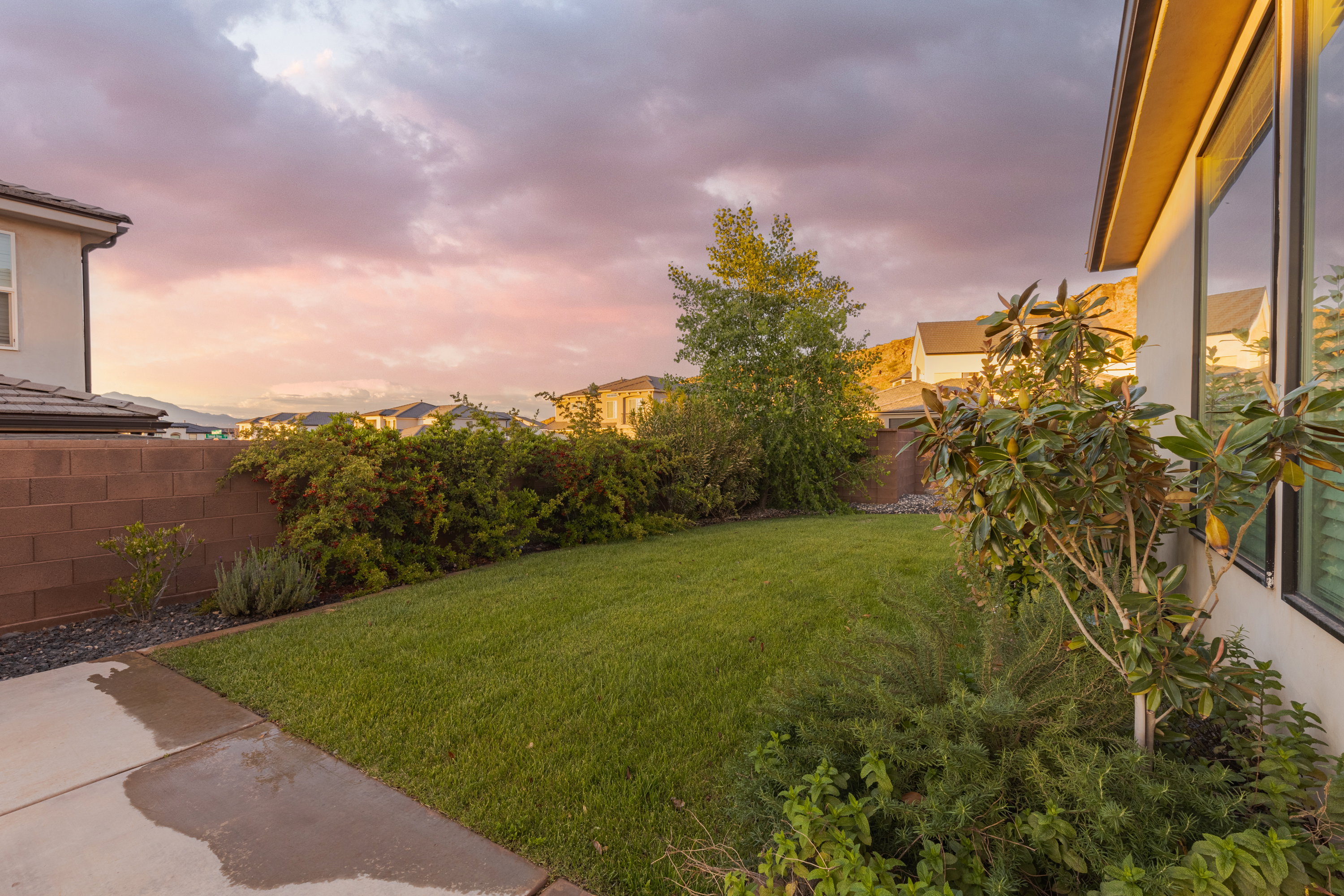 View of yard at dusk
