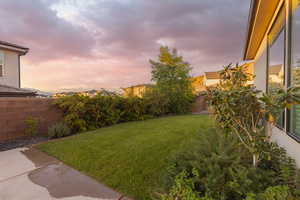 View of yard at dusk
