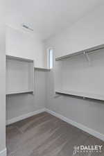 Spacious closet with dark colored carpet