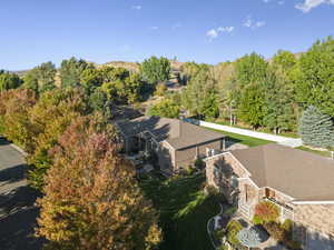 Bird's eye view of a tree filled landscape