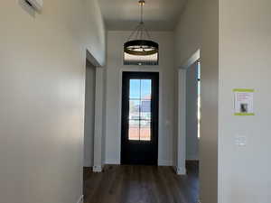 Foyer with dark wood-style flooring and a high ceiling
