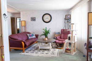 Living room featuring carpet and plenty of natural light