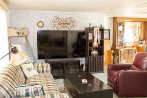 Living room featuring carpet floors
