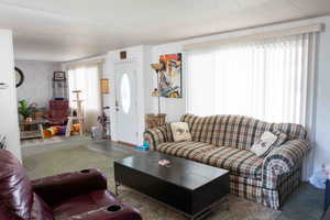 Living room featuring carpet floors and plenty of natural light