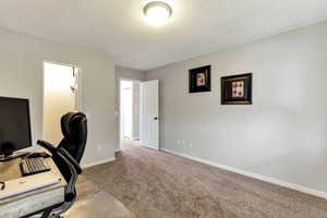 Office with carpet floors and a textured ceiling