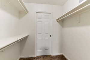 Spacious closet featuring dark carpet