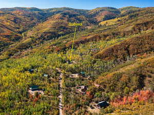 Aerial view of a forest and a mountainous background