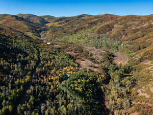 View of mountain backdrop with a heavily wooded area