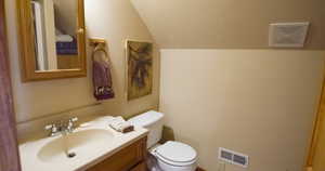 Half bathroom with a textured ceiling, vanity, and vaulted ceiling