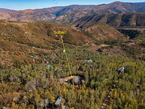 Mountain view featuring a heavily wooded area