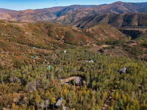Mountain view with a forest