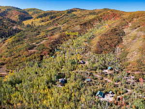 View of mountain background featuring a forest