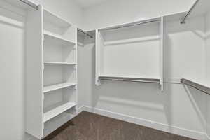 Spacious closet featuring dark carpet