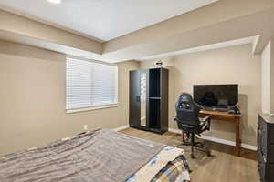 Lower Level Bedroom 5