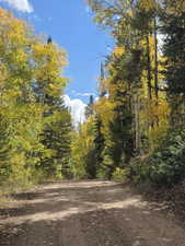 View of dirt / gravel road with a forest view