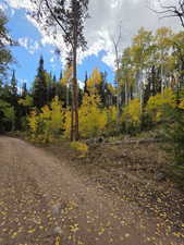 View of undeveloped land