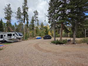 View of dirt / gravel road