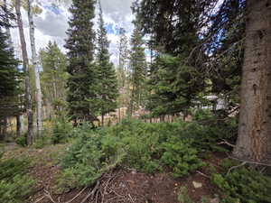 View of undeveloped land