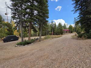 View of yard with driveway