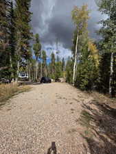 View of dirt / gravel road