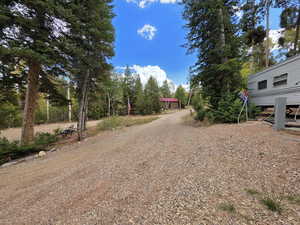 View of yard featuring driveway