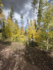 View of undeveloped land