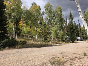 View of yard featuring driveway