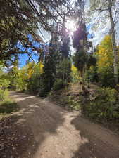 View of dirt / gravel road with a view of trees