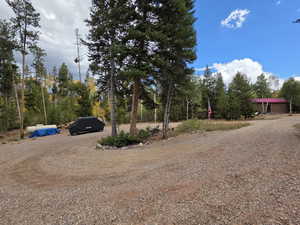 View of yard with driveway