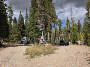 View of yard with a wooded view