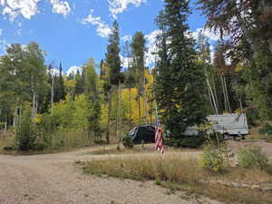 View of yard with a forest view