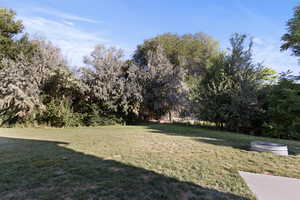 View of grassy yard featuring view of wooded area