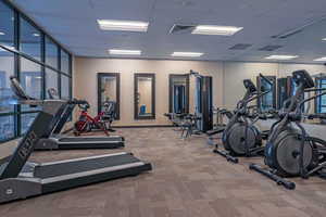 Workout area with a paneled ceiling and carpet floors