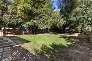 View of fenced backyard