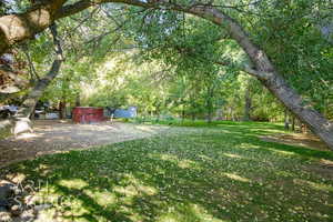 View of grassy yard with an outbuilding