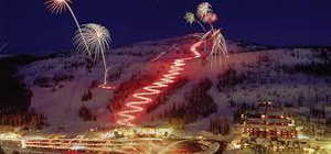 View of yard at twilight