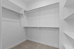 Walk in closet with light carpet