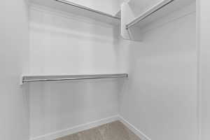 Spacious closet featuring light carpet