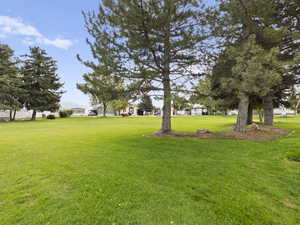 View of green space across the street