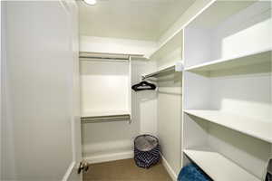 bedroom 2 walk-in closet with carpet floors