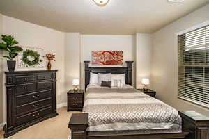 Primary edroom featuring light carpet and a textured ceiling