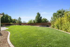 View of fenced backyard