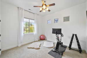 Workout room featuring light colored carpet and a ceiling fan