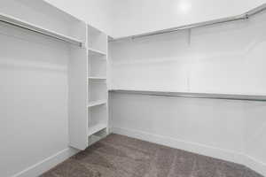 Spacious closet featuring dark carpet