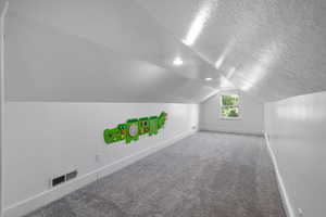 Additional living space with a textured ceiling, carpet, and lofted ceiling