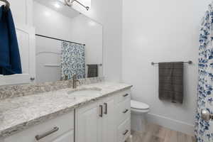 Bathroom featuring vanity, light wood-style flooring, and curtained shower