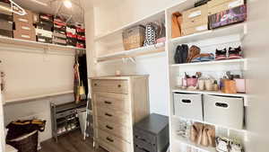Spacious closet featuring dark wood finished floors
