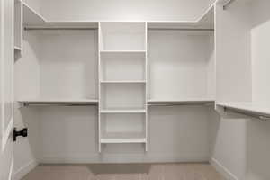 Spacious closet featuring light carpet